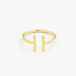 Simple Double Bar Ring Gold