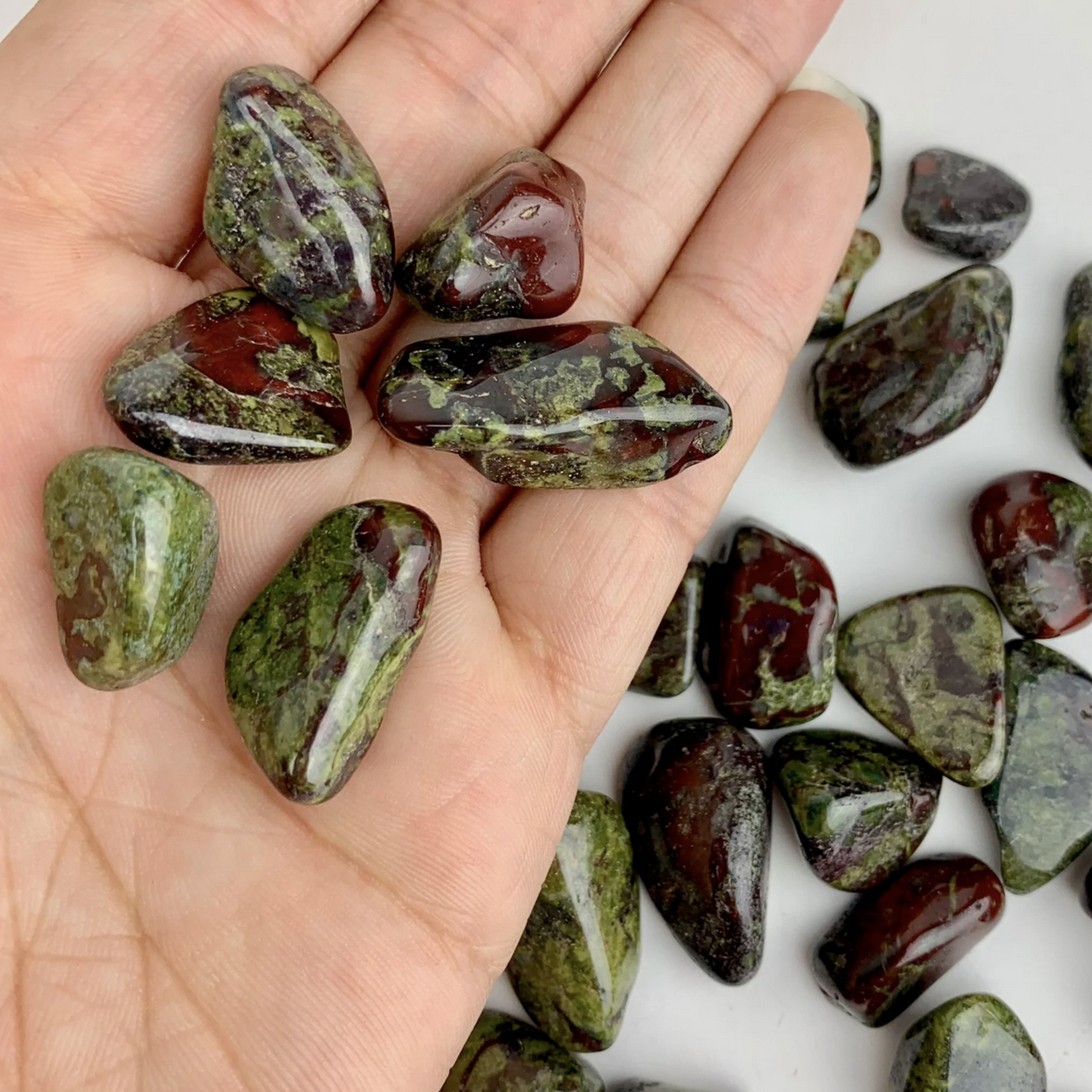 Fantasia Dragon Bloodstone | Tumbled | 15-30mm