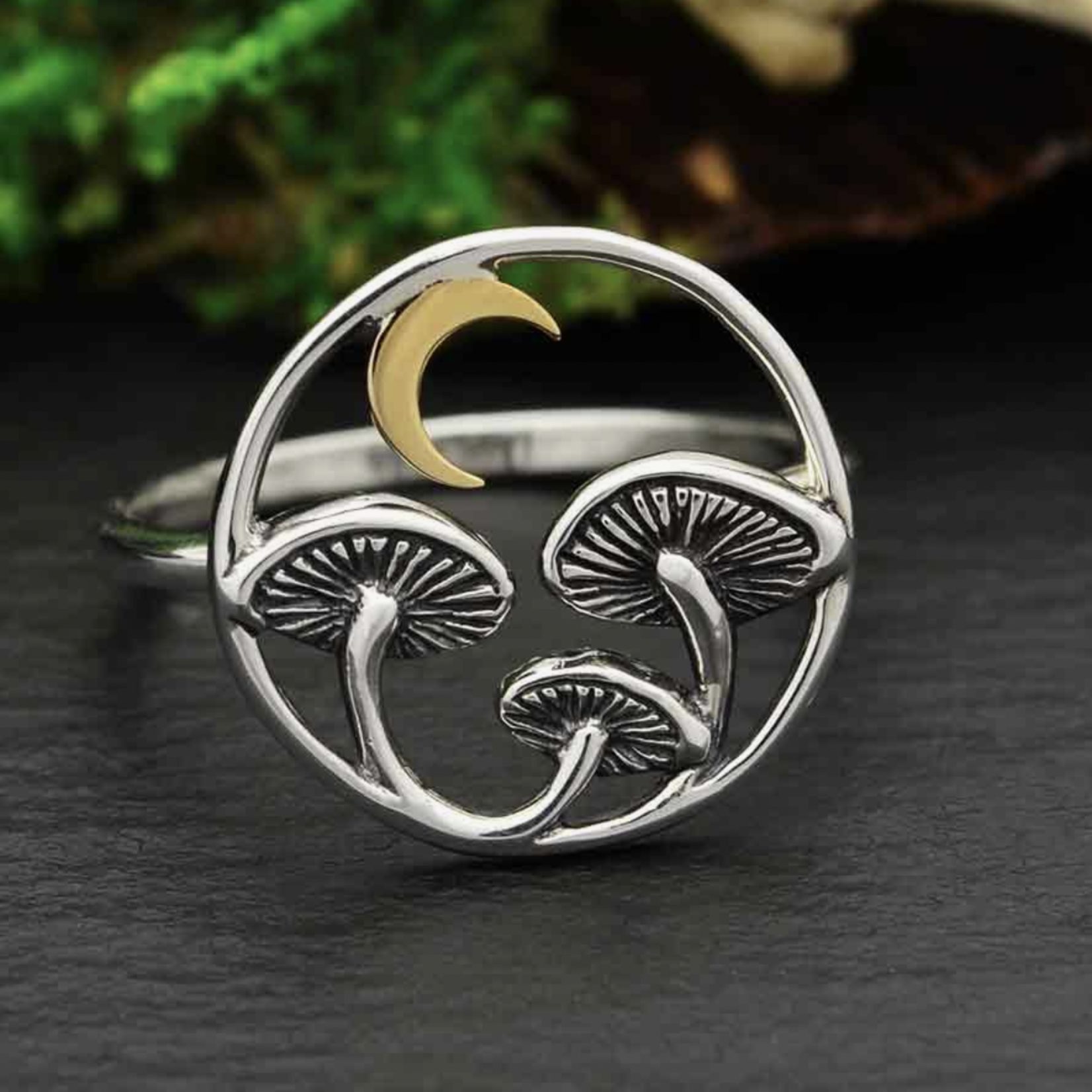 Mushroom with Moon Ring · Bronze and Sterling Silver
