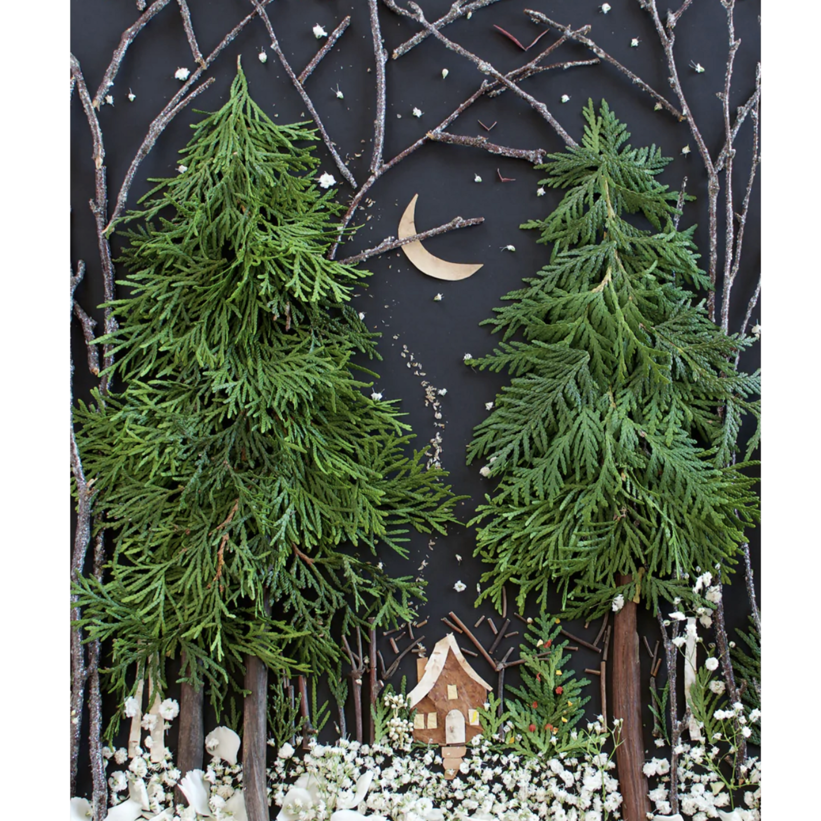 *Silent Night Flower Print | 8x10