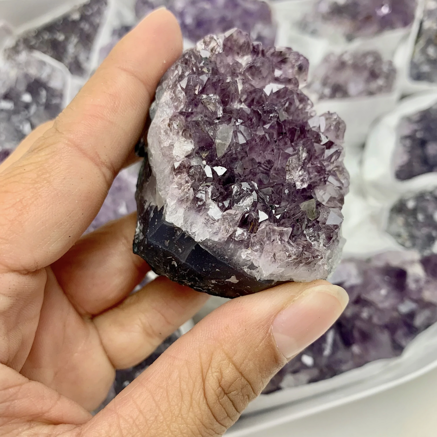 Amethyst Druze | Clusters | Uruguay