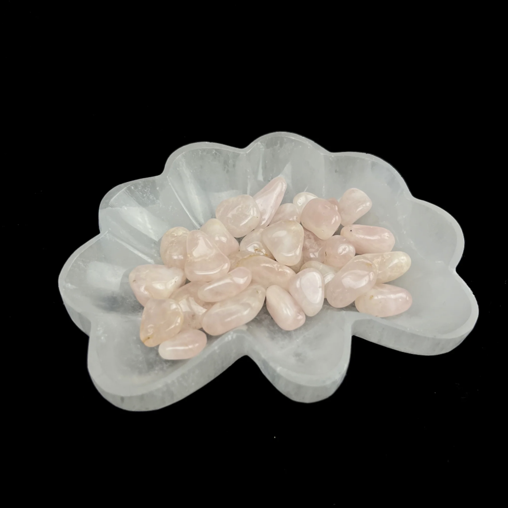 Selenite | Seashell Charging Bowl | Morocco