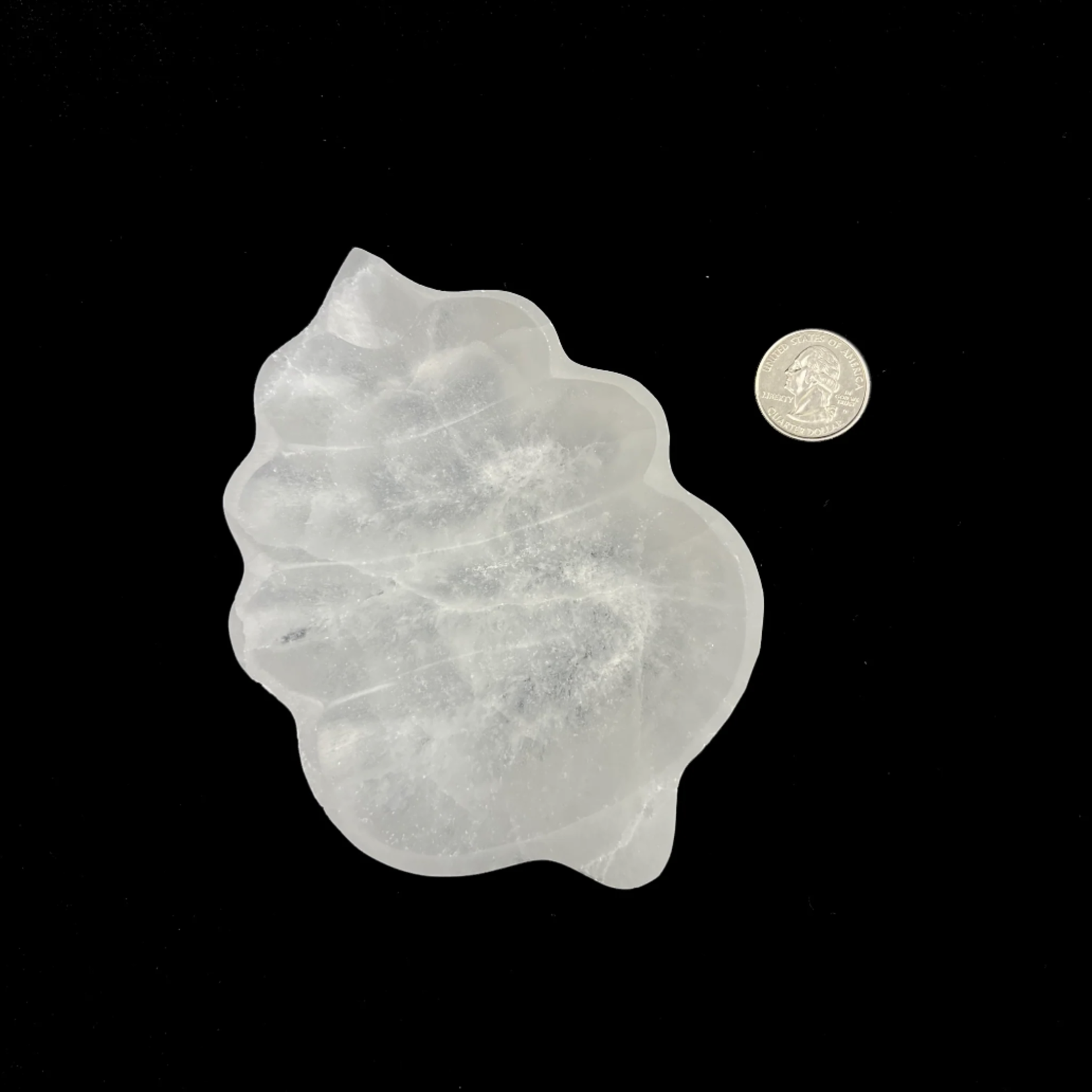 Morocco Minerals Selenite | Leaf Charging Bowl | Morocco