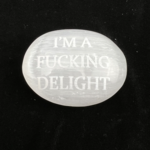 "I'm A Fucking Delight" | Selenite Palm Stones