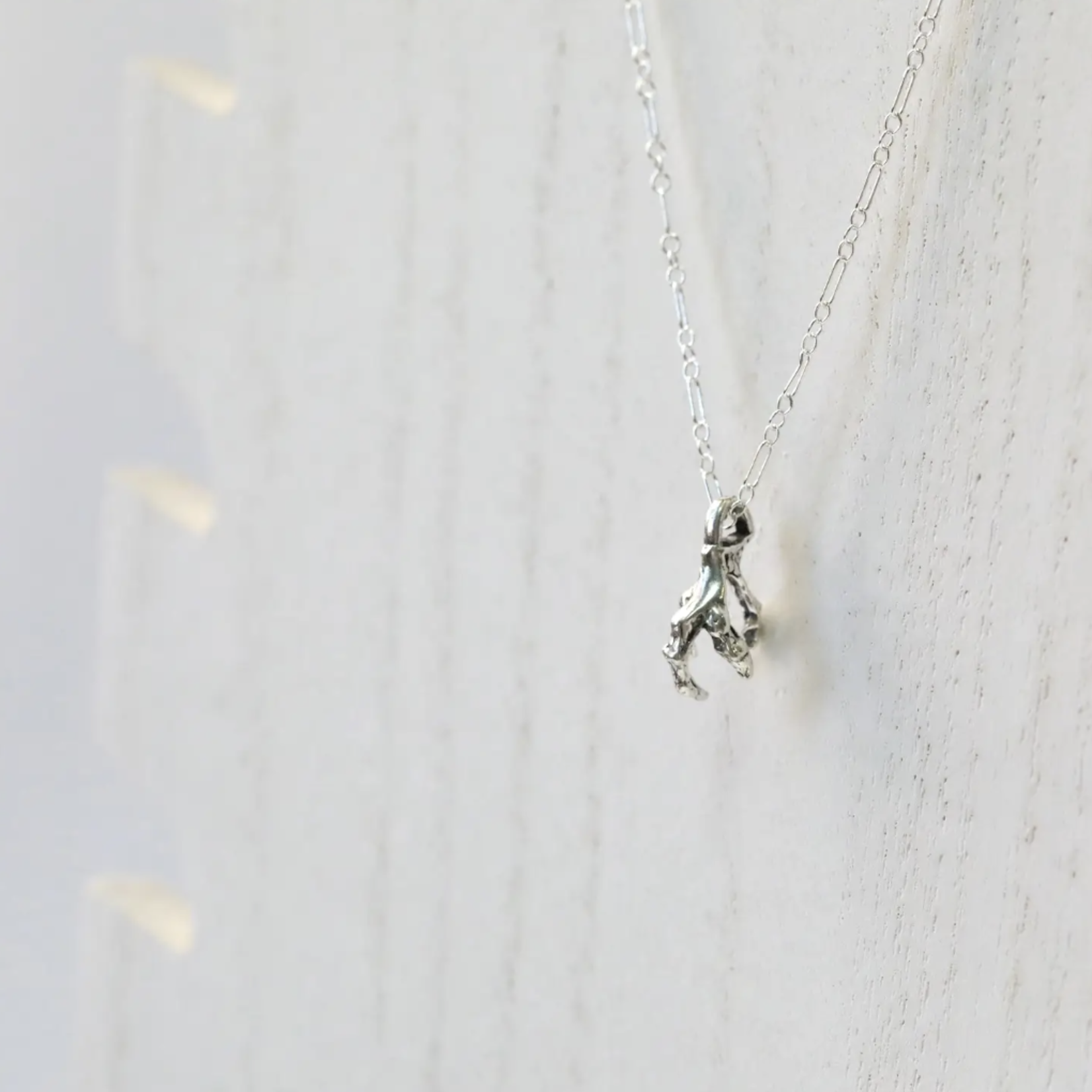 *Dragon Claw Charm Necklace · Silver