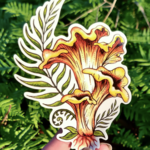 Golden Chanterelle Mushroom · Sticker