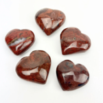 Crystal Hearts | Petrified Wood | 30mm | India