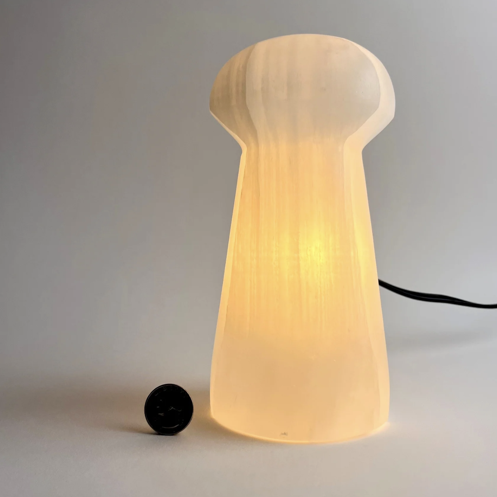 Selenite Mushroom Lamp | 200mm | Morocco