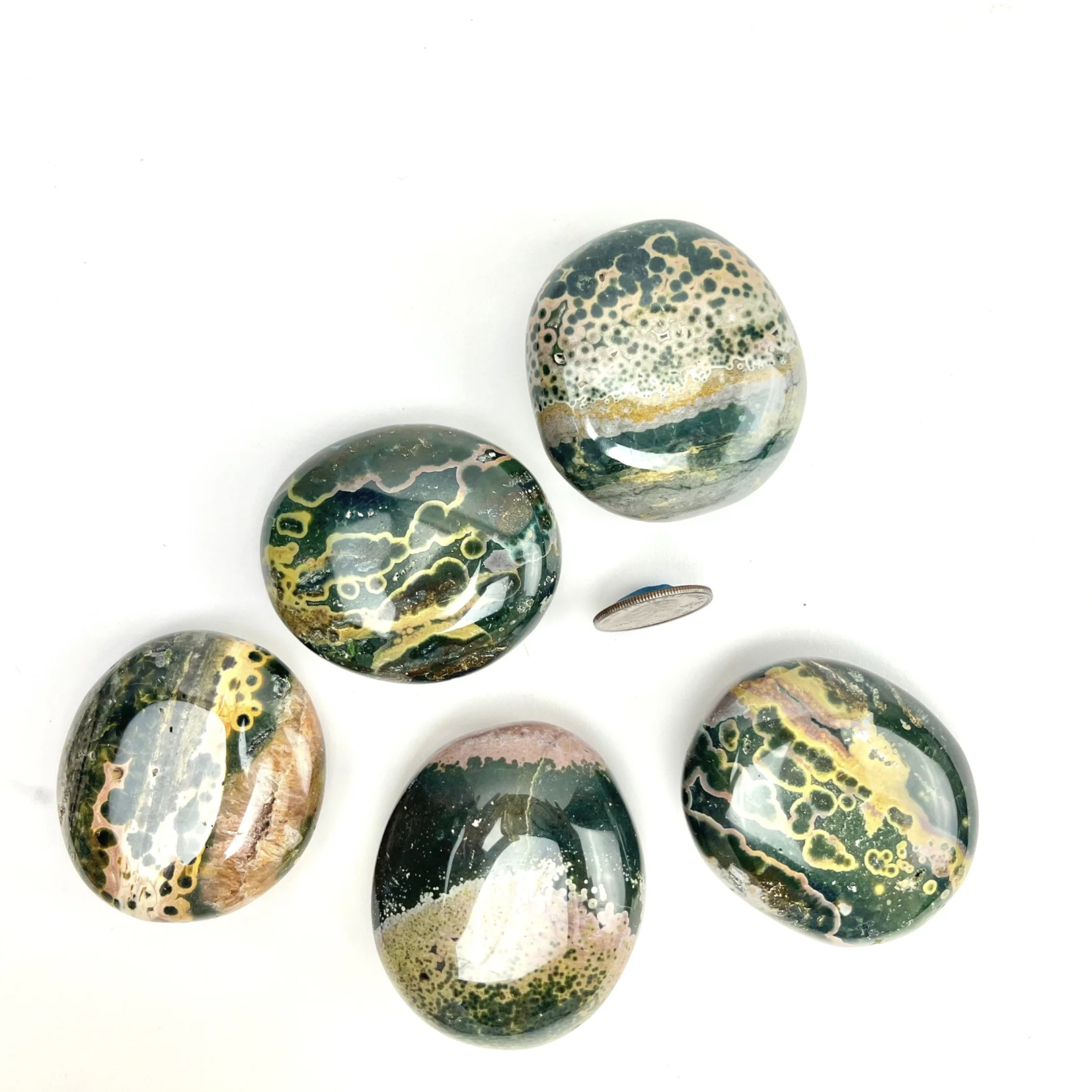 Ocean Jasper | Palm Stone | 50-60mm | Madagascar