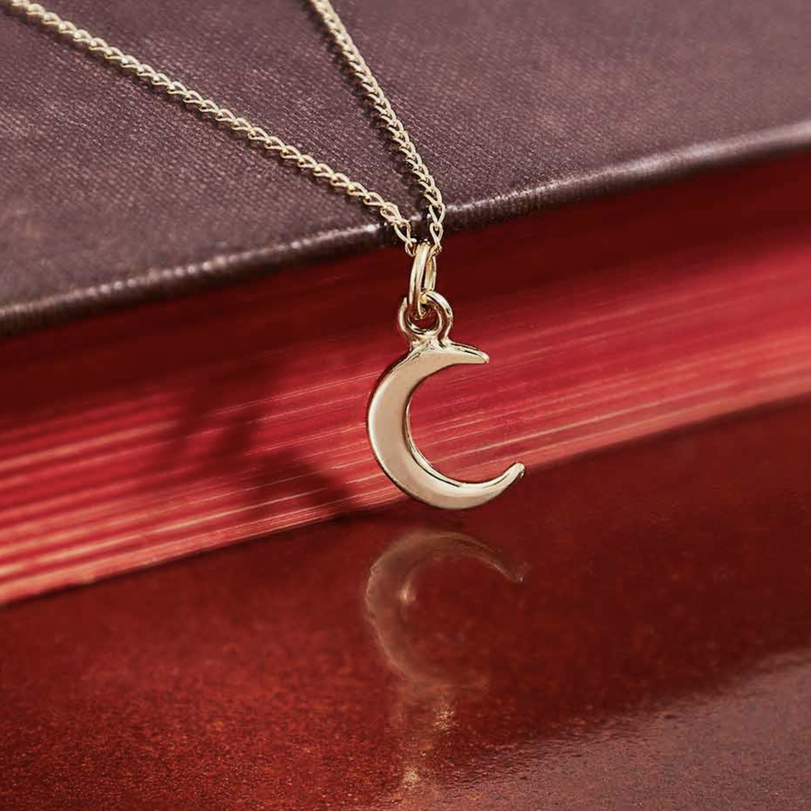 *Moon Charm Necklace · 14K Gold