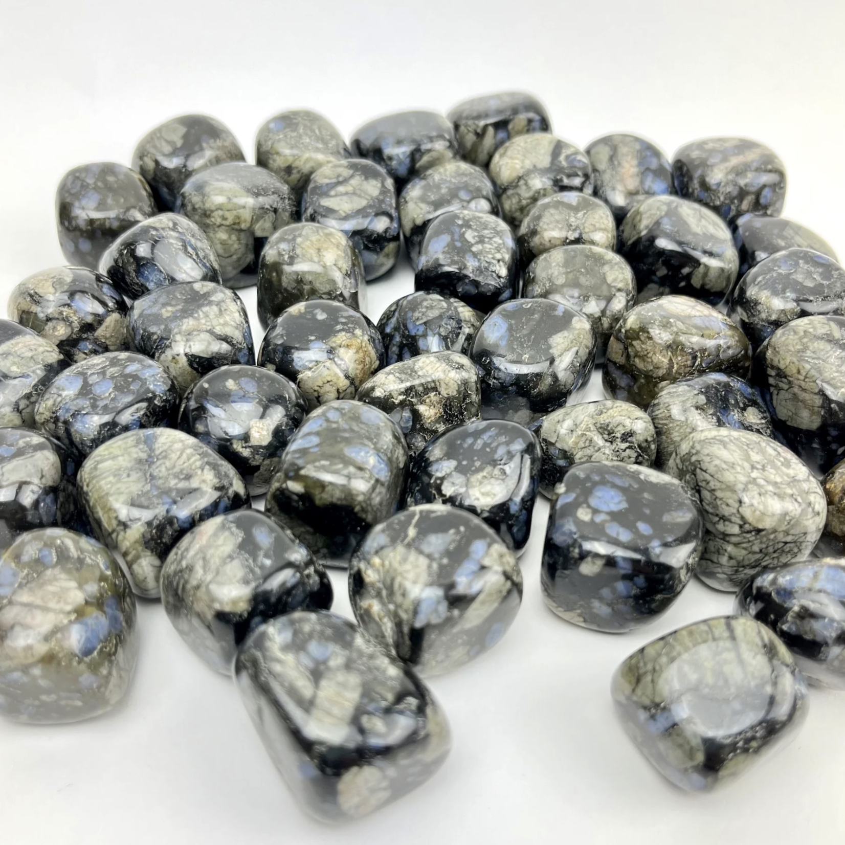 Quasar Gems Glaucophane | Tumbled | 20-30mm | Wisconsin
