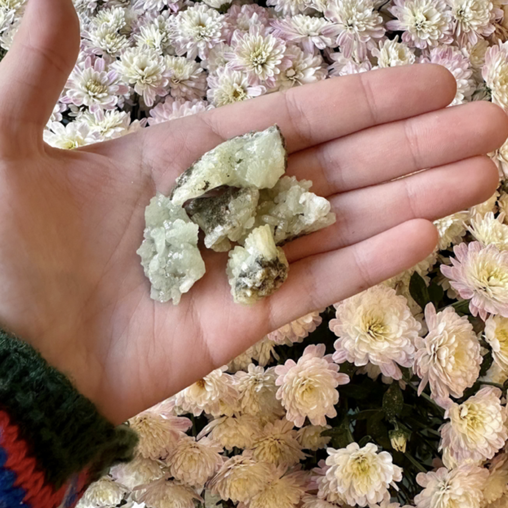 Morocco Minerals Prehnite | Rough | 25-40mm | Morocco