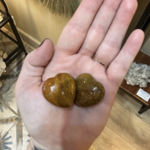 Elite Exports Crystal Hearts | Petrified Wood | 30mm | India