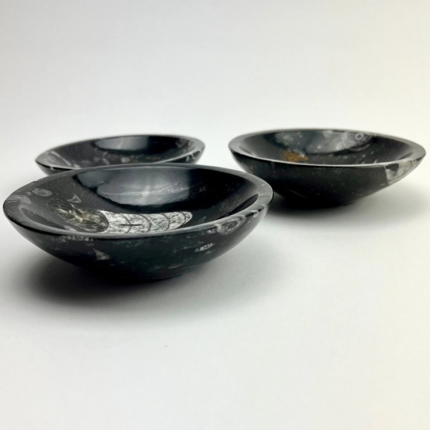 Morocco Minerals Orthoceras Fossil Bowl | Morocco | 120mm