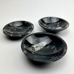 Morocco Minerals Orthoceras Fossil Bowl | Morocco | 120mm