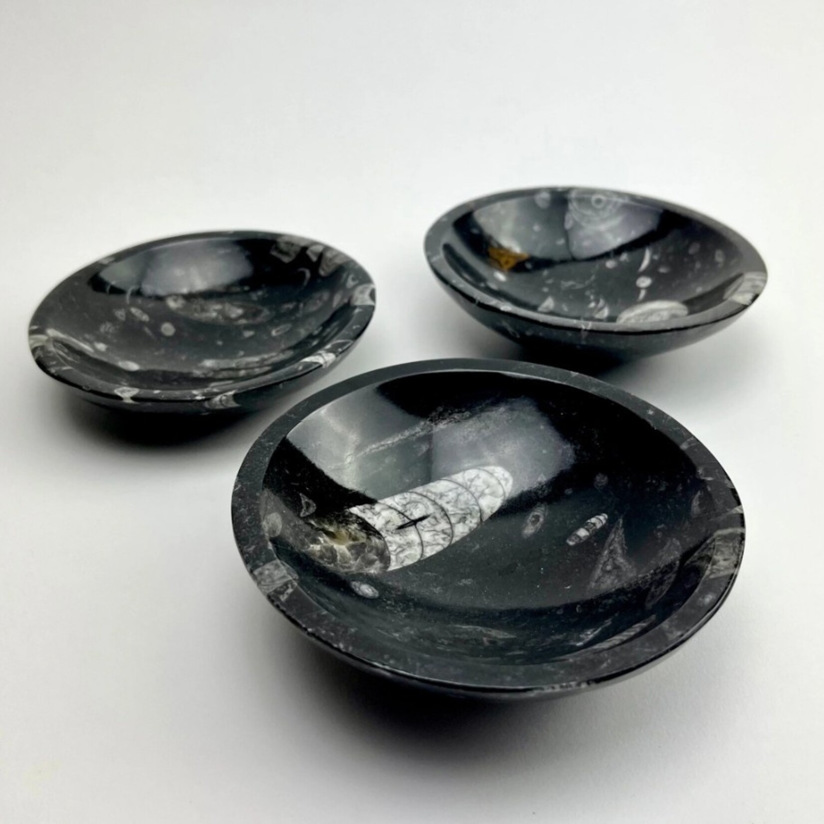 Morocco Minerals Orthoceras Fossil Bowl | Morocco | 120mm