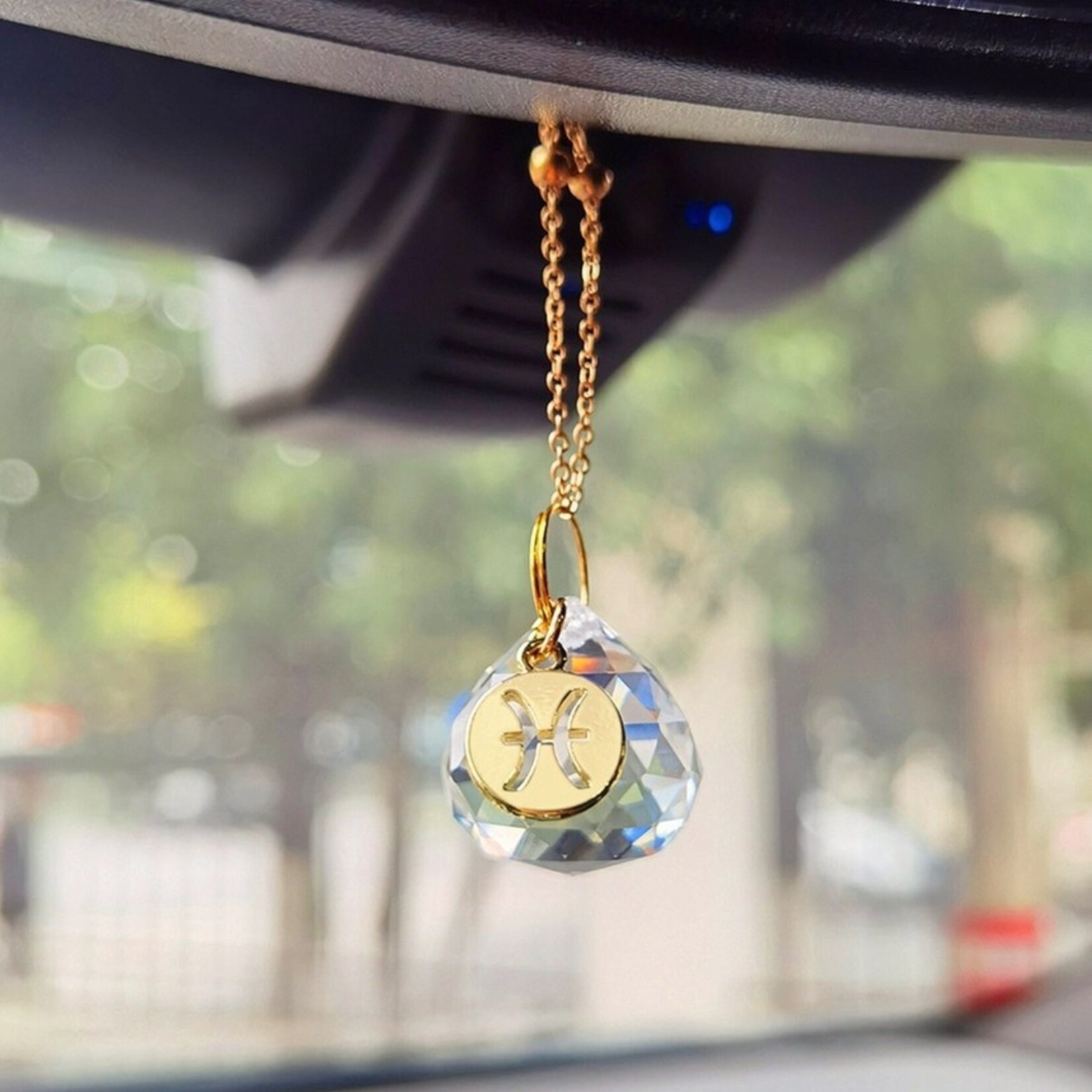 Zodiac Car Charm |