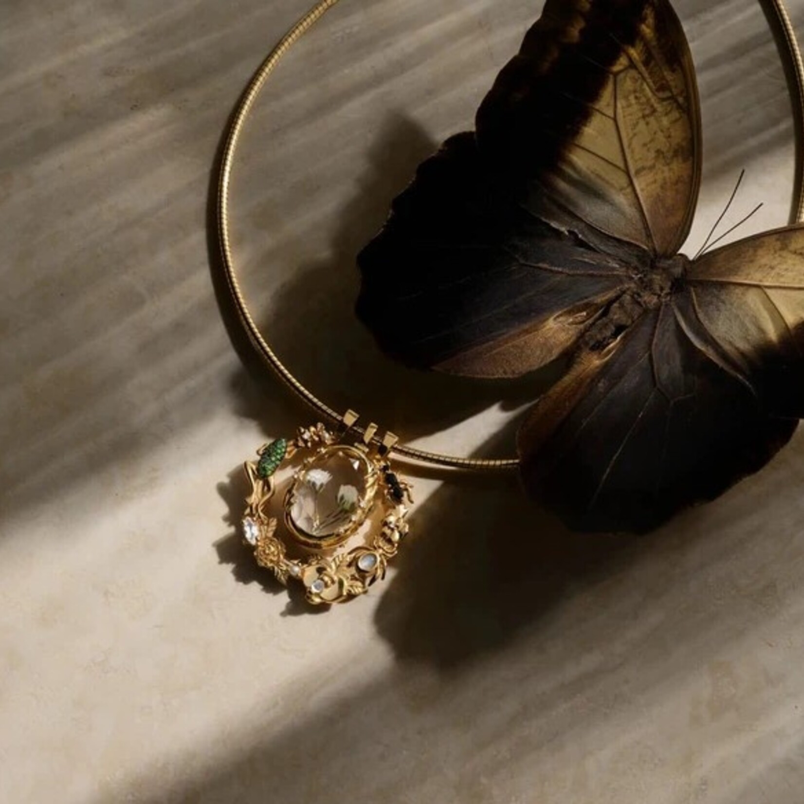 Secret Forest Halo ·