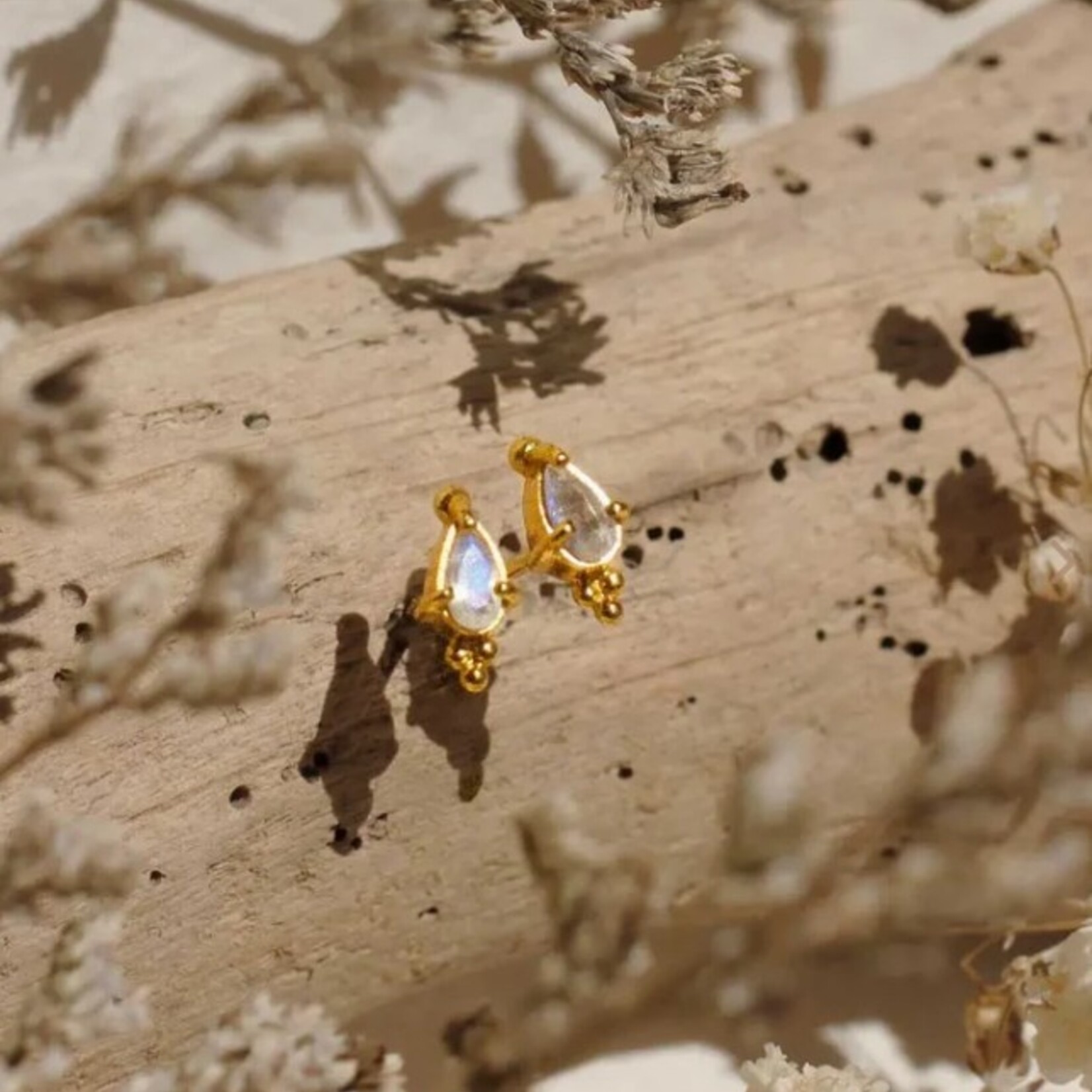 Moondust Stud Earrings · 22K Gold Vermeil