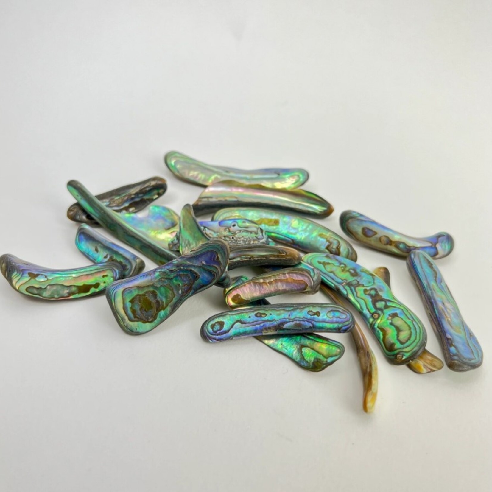 Abalone Rims | 25-50mm | New Zealand