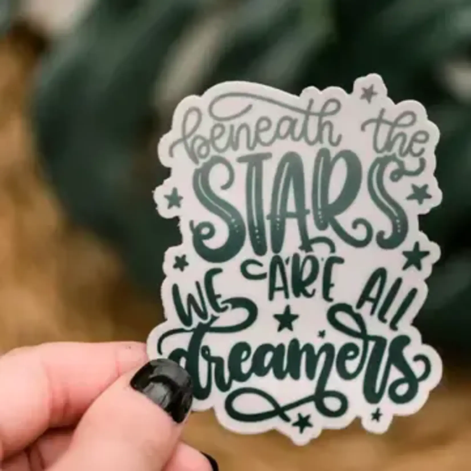 Savannah and James Co Beneath the Stars | Sticker