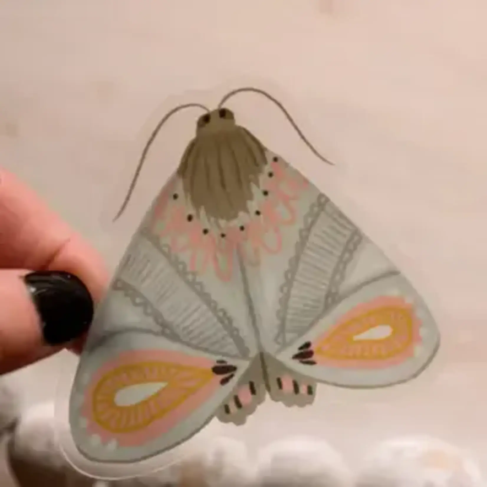 Savannah and James Co Clear Large Moth | Sticker