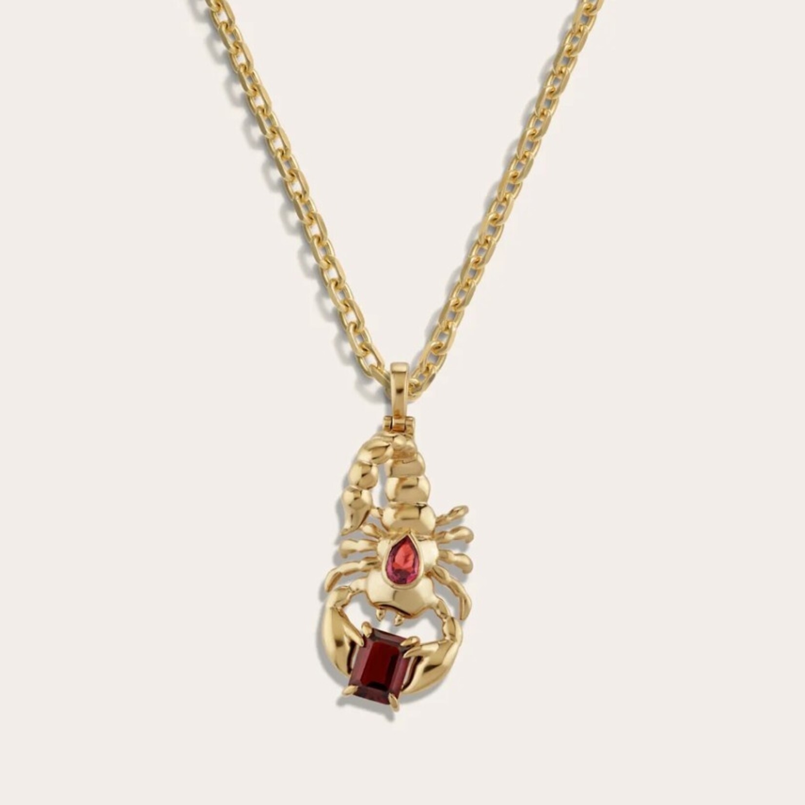 Gemstone Scorpion Necklace ·