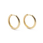 Medium Hoop Earrings · Gold
