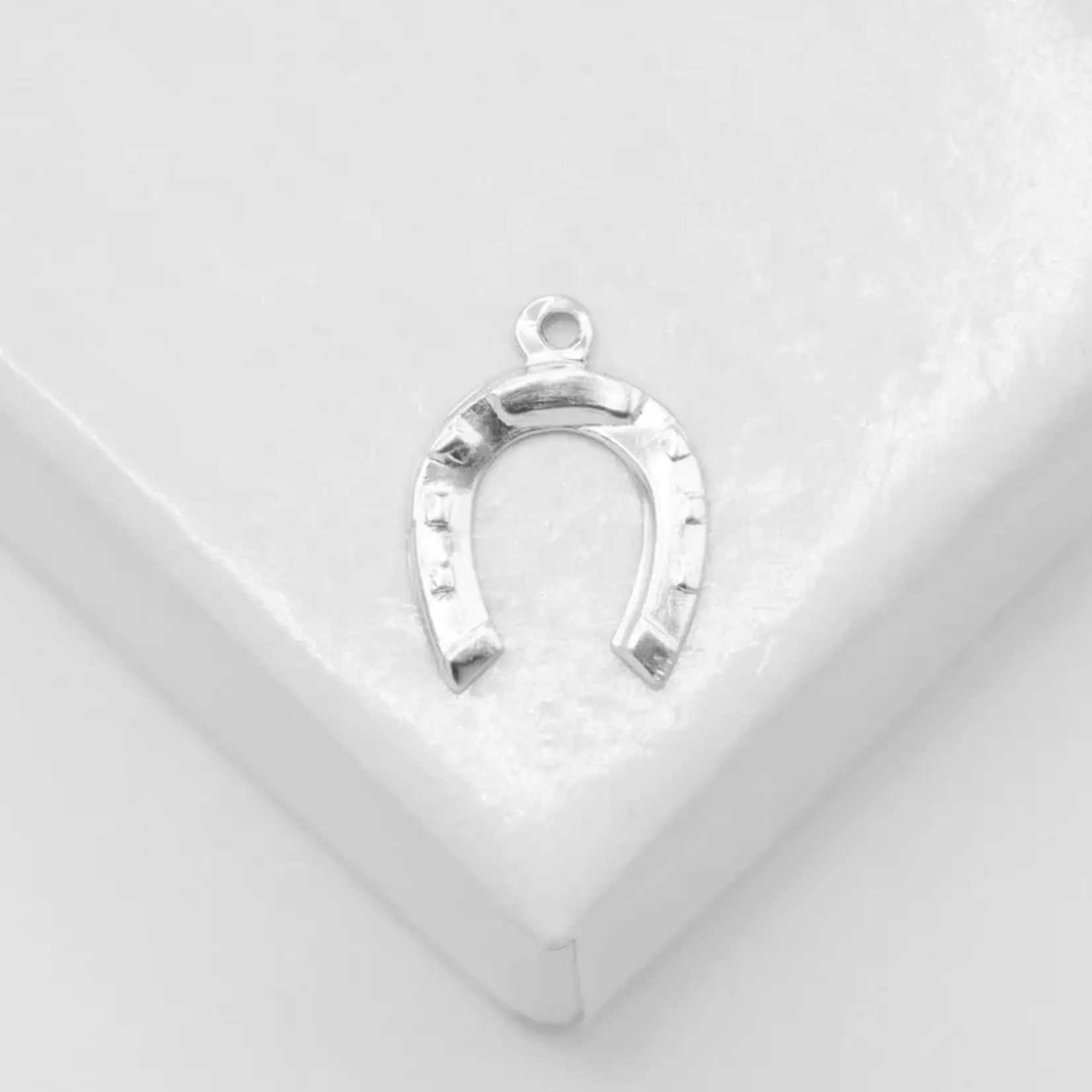 Charmed! Horseshoe Charm · Sterling Silver