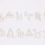 Charmed! Zodiac Charm · Sterling Silver ·