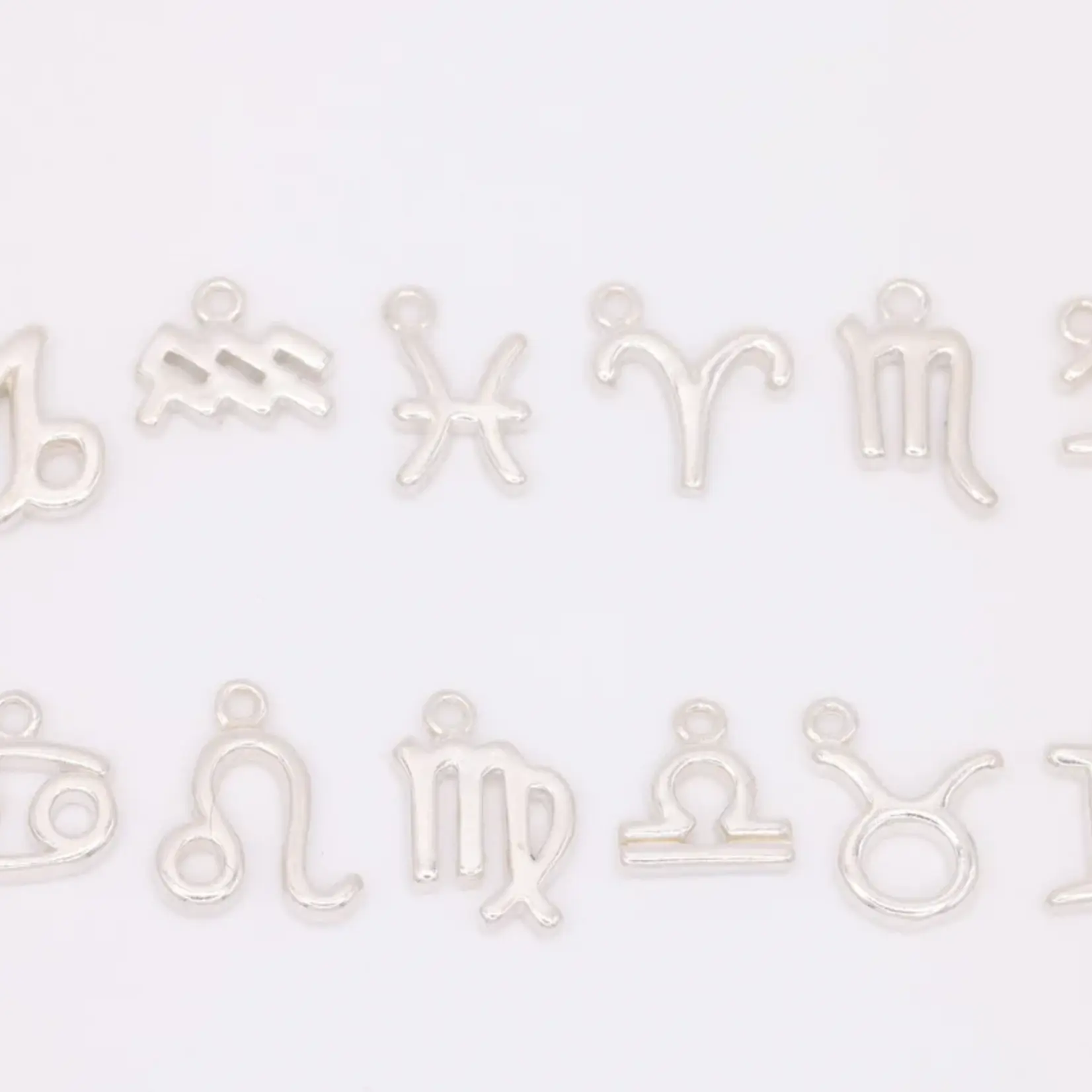 Charmed! Zodiac Charm · Sterling Silver ·