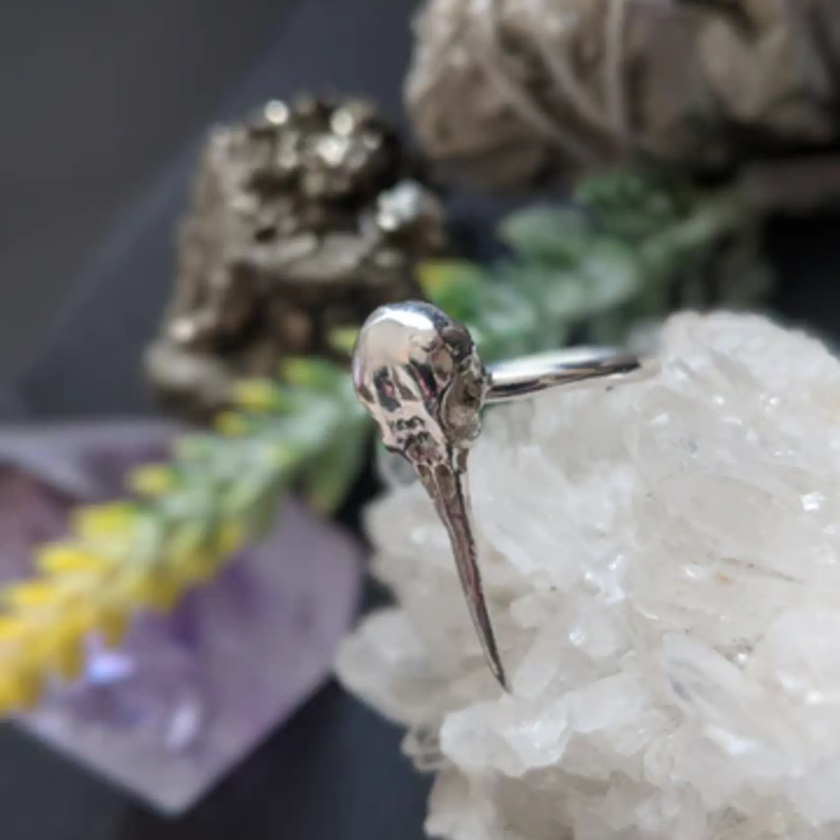 Hummingbird Skull Ring  · Silver ·