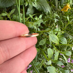Reclaimed Gems Gold Band | 14k Yellow Gold | Size 7.25