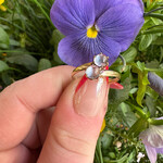 Reclaimed Gems Bypass Moonstone Ring |10k Yellow Gold | Size 6.75 | Circa 1890