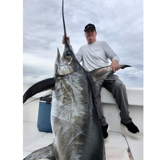 Big Swordfish