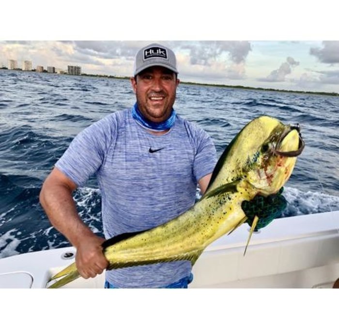 Mahi Mixed In