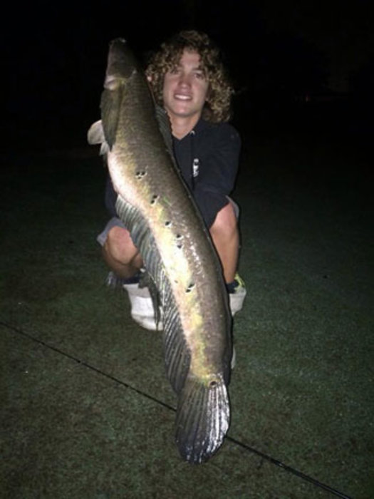 State Record Snakehead Caught!