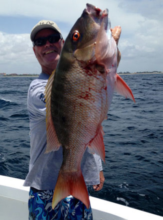 Sailfish, Dolphin or Snapper