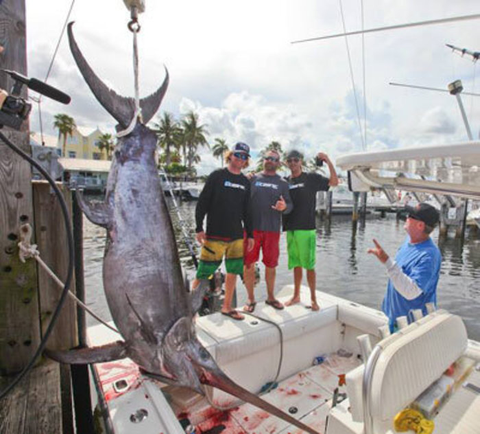 Giant Sword caught in the Sunburn Swordfish Tournament