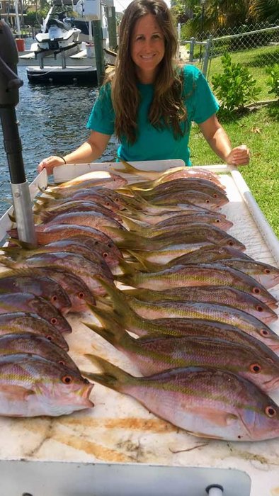 Yellowtail snappers are biting!