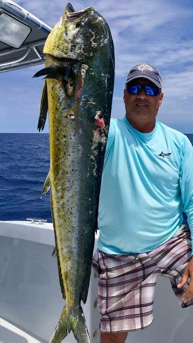 Mahi Mahi Continue to Show Up