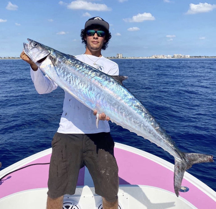 Kingfish have arrived!