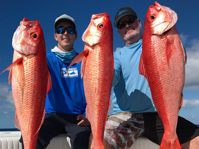 Queen Snapper in the Keys!