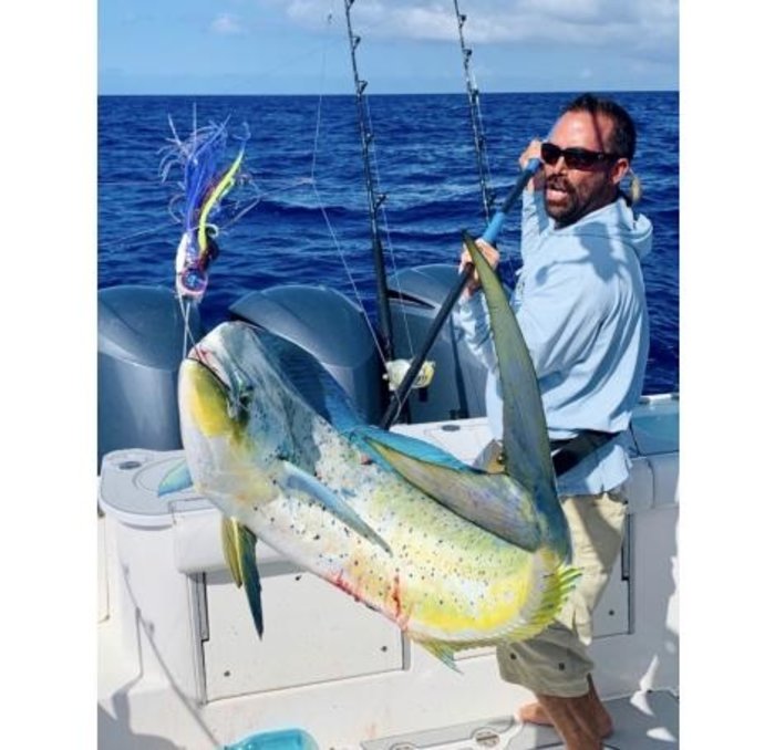 Giant Mahi Mahi