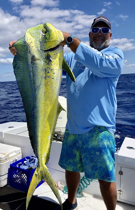 Mahi And Seaweed!