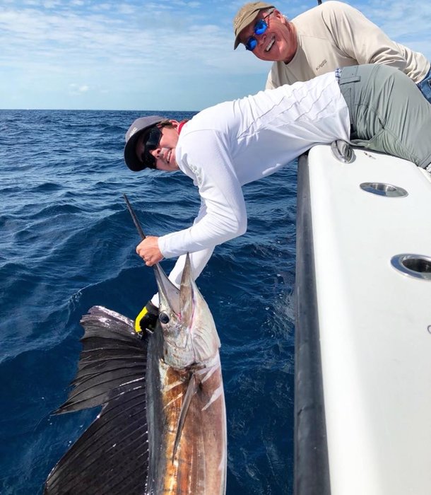 Sailfish Galore!