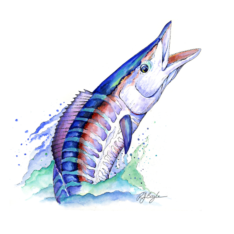 Watercolor Wahoo RJ Boyle