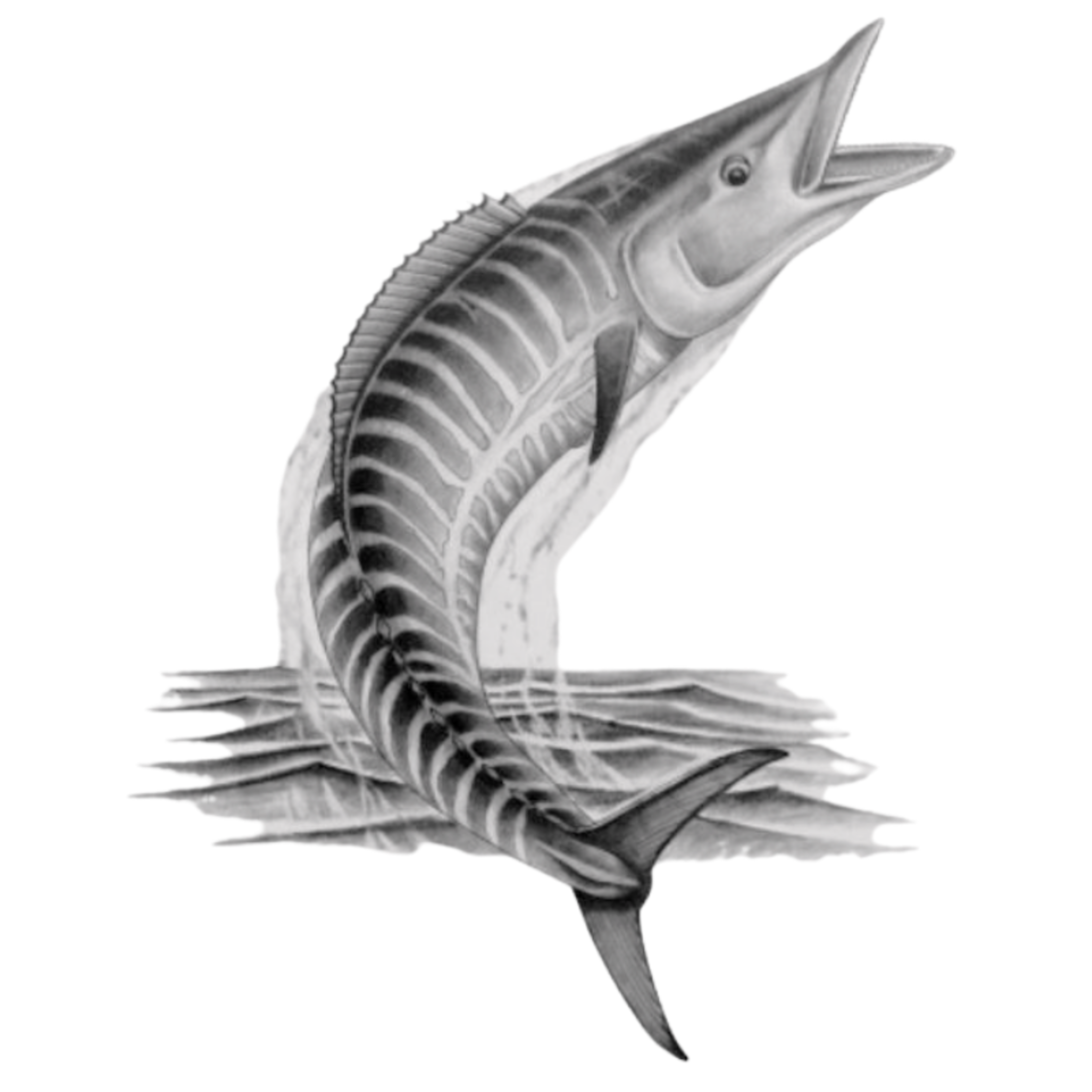 wahoo-bust.jpg