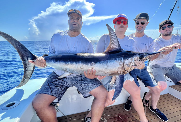 Swordfish and Seaweed are Plentiful! 