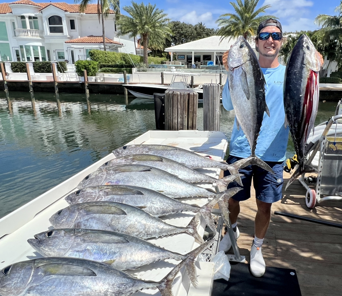Blackfin Tuna and Kingfish Top Picks for the Weekend